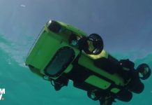 LarvalBot прекрасно справляется со своей миссией