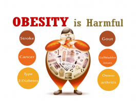 В США создан имплант для борьбы с ожирением
