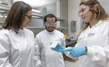 В Саудовской Аварии создана электробумага для измерения уровня глюкозы в крови