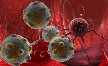 Ученые из МТИ создали антибиотик на основе яда африканской осы