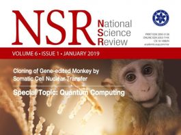 Китайские ученые сумели клонировать тестовых обезьян