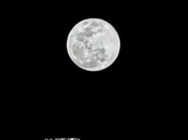 Huawei и Xiaomi провели состязание друг с другом на основе своих флагманов