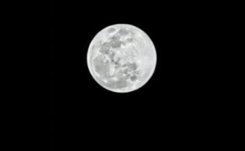 Huawei и Xiaomi провели состязание друг с другом на основе своих флагманов