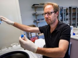 FDA предупреждает о бесполезности и вреде вливания кровяной плазмы молодых доноров