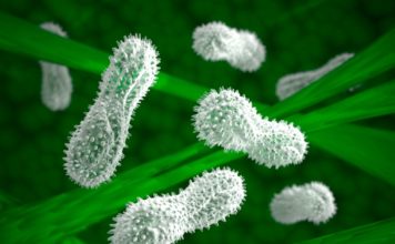 Lockheed Martin стремится сделать из бактерий «мини-фабрики»