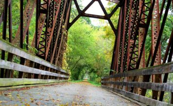 Представлен новый концепт антикоррозийного покрытия на основе масла