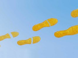 Создан новый гибкий материал с возможность самовосстановления