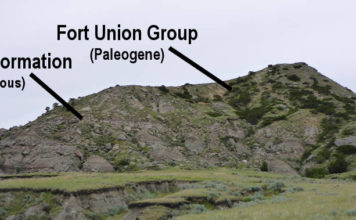 В Северной Дакоте найдены доказательства глобального вымирания животных 66 миллионов лет назад