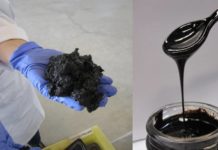 Создан новый способ конвертации водорослей в биологическое топливо