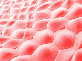 Создан биопринтер, затягивающй раны