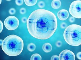 Ученые внедрили двухъядерный процессор в клетки организма при помощи техники CRISPR