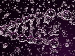 Создан новый энзим Cas3 для техники CRISPR