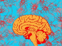 В Великобритании создан первый в мире Центр Психоделических Исследований