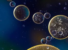 В Марианской впадине найдена необычная бактерия