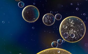 В Марианской впадине найдена необычная бактерия