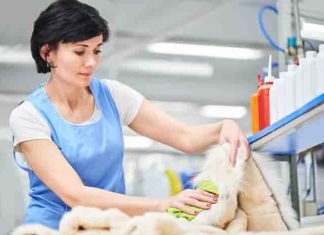 Основные преимущества химчисток