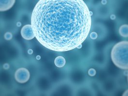 Специалисты из Гарварда сумели изменить клетку новыми генетическими инструментами