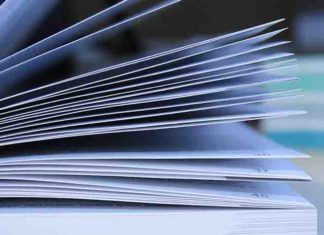 Выписка из ЕГРН: что это такое и для чего она нужна?