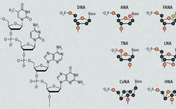 Представлен новый тип синтетической молекулы