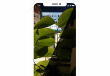 В Apple Store появилось умное приложение NeuralCam для камеры