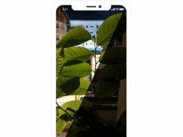 В Apple Store появилось умное приложение NeuralCam для камеры