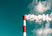 Глобальное потепление затруднит доступ к омега-3