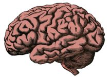 Разработан новый тест интеллекта для смартфонов