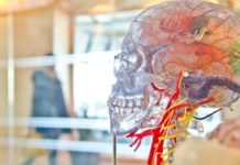 Деменция может быть опасной для дневного цикла сна