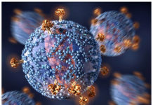 Иммунные клетки могут быть перепрограммированы для борьбы с ВИЧ