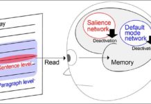 Зрение и воспоминания: как на самом деле работает мозг