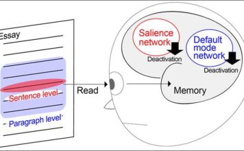Зрение и воспоминания: как на самом деле работает мозг