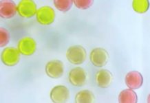 Представлен новый метод быстрой печати