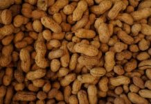 Федеральная Комиссия FDA говорит о новой вакцине против аллергии на арахис