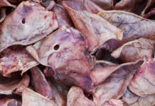 Ученые CDC рекомендуют избегать любимых закусок для собак