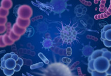 Ученые установили тонкости гибернации бактерий