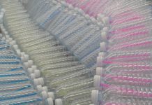 Идентифицирована новая бактерия в атмосфере Земли