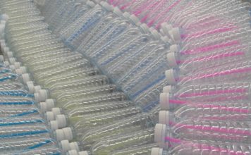 Идентифицирована новая бактерия в атмосфере Земли