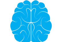 Низкий уровень холестерина может быть опасен для женщин