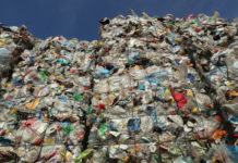 KFC пообещала полностью избавиться от использования пластика