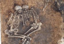 Ученые раскрыли некоторые секреты генома бубонной чумы