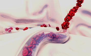 Создана одна из мельчайших наноэмульсий