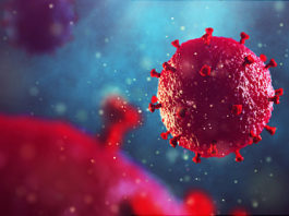 Ученые обнаружили новый штамм вируса ВИЧ