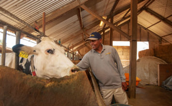Изменяя кишечный биом животных, можно сохранить экологию