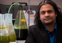 Протестирован новый метод изготовления био-топлива