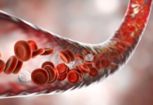 Созданы кожные заплатки с интегрированной кровеносной системой