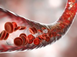 Созданы кожные заплатки с интегрированной кровеносной системой