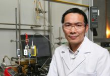 Ученые произвел замену золота на железо в качестве катализатора эксперимента