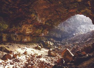 В пещерах Борнео обнаружены удивительные рисунки