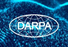 DARPA ищет безопасные галлюциногены в природе