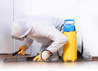 Уничтожение насекомых в СПБ